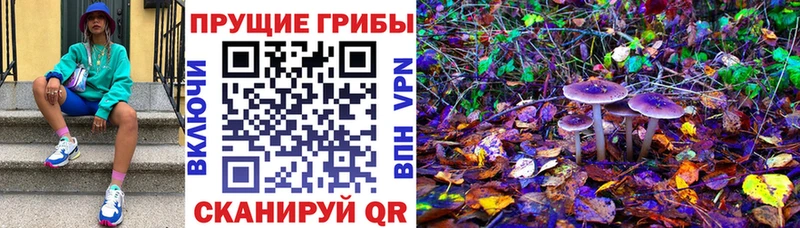 Галлюциногенные грибы GOLDEN TEACHER  магазин продажи   Урюпинск 